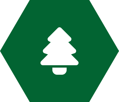 icône arbre