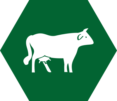 icône vache Eliaut élevage